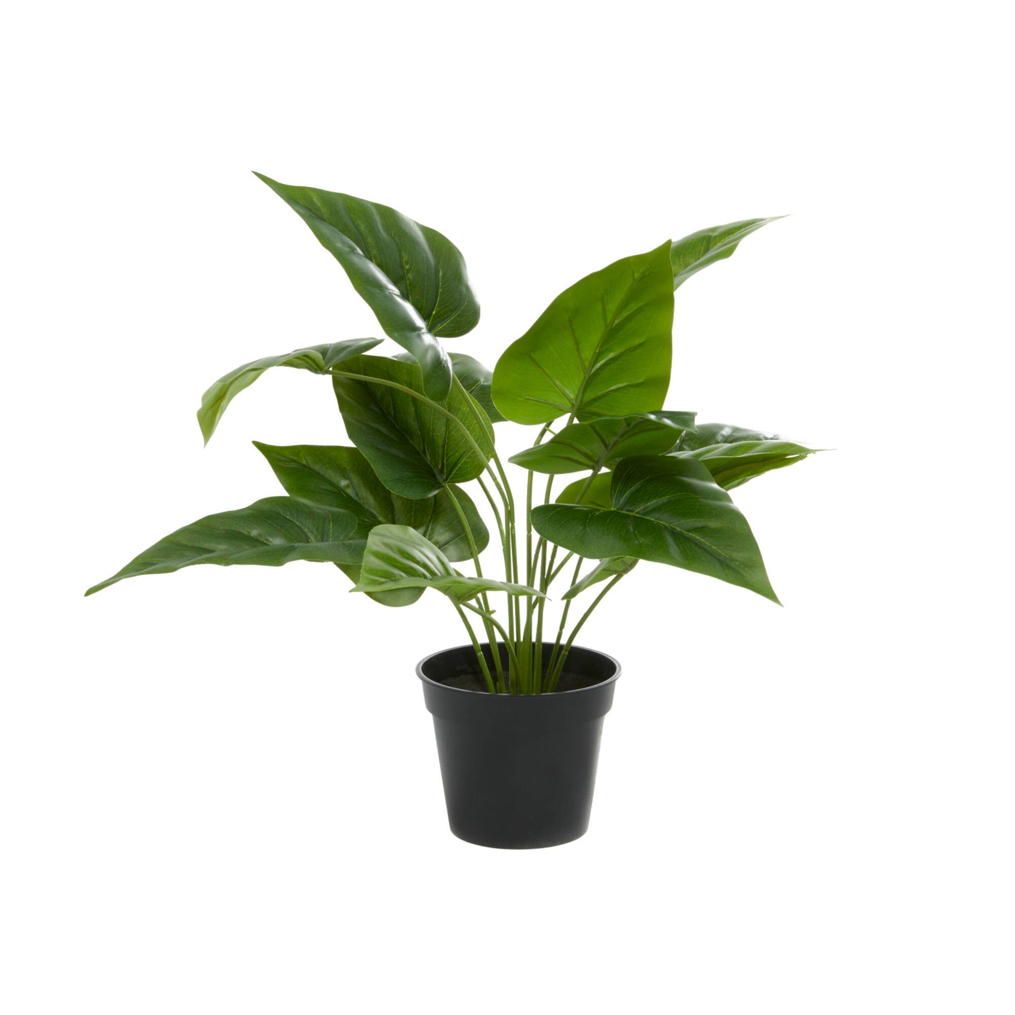Green Plastic Traditional Artificial Foliage, 17" x 21" x 17"